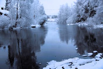 Frosty afternoon - image gratuit #503463